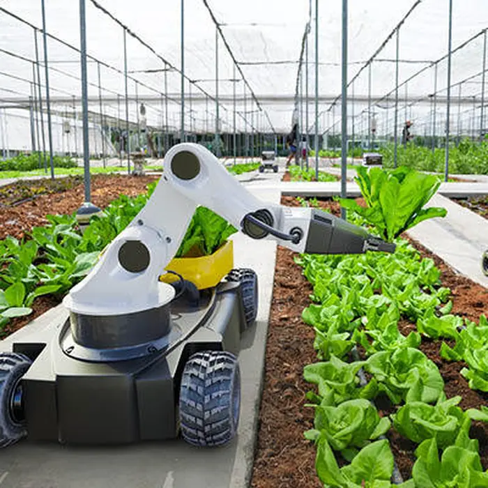 Agriculture